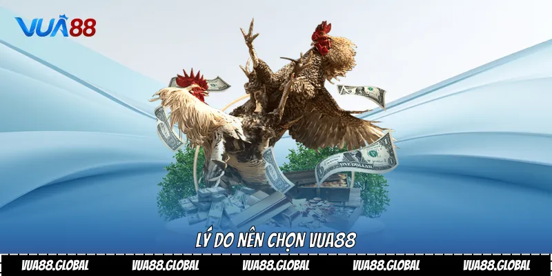 Lý do nên chọn VUA88