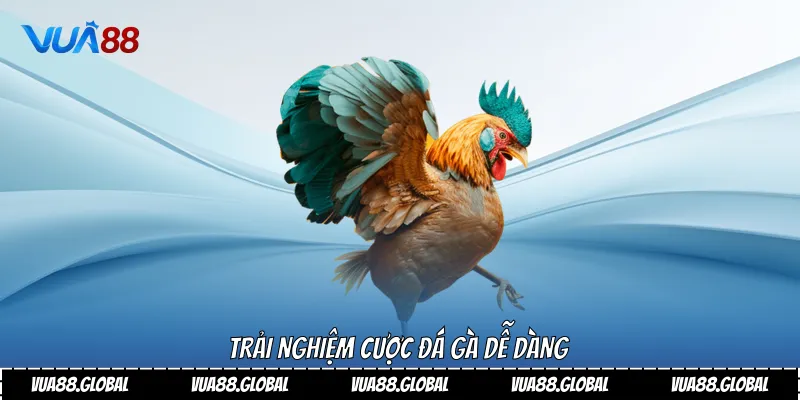 Trải nghiệm cược đá gà dễ dàng